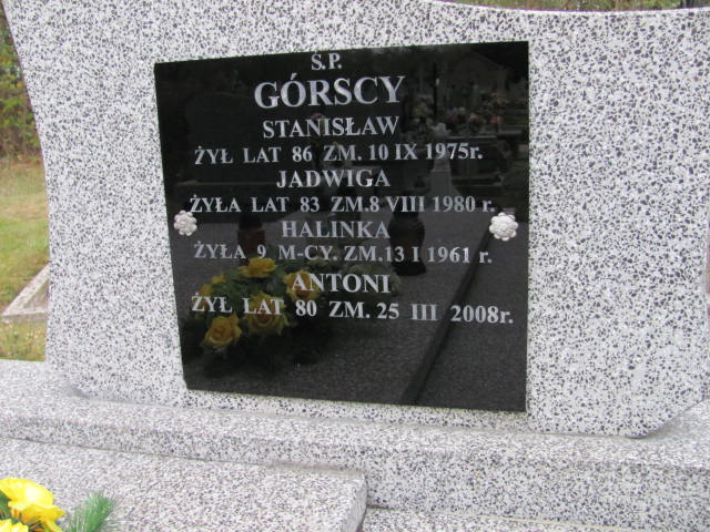 Antoni Górski 1927 Krajkowo - Grobonet - Wyszukiwarka osób pochowanych