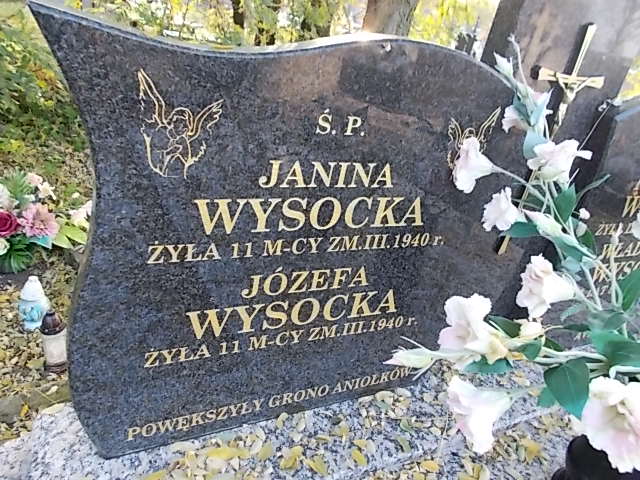 Władysław Wysocki Krajkowo - Grobonet - Wyszukiwarka osób pochowanych