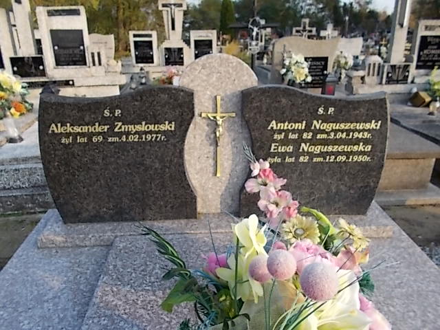 Aleksander Zmysłowski 1908 Krajkowo - Grobonet - Wyszukiwarka osób pochowanych