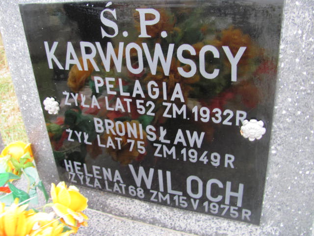 Bronisław Karwowski Krajkowo - Grobonet - Wyszukiwarka osób pochowanych